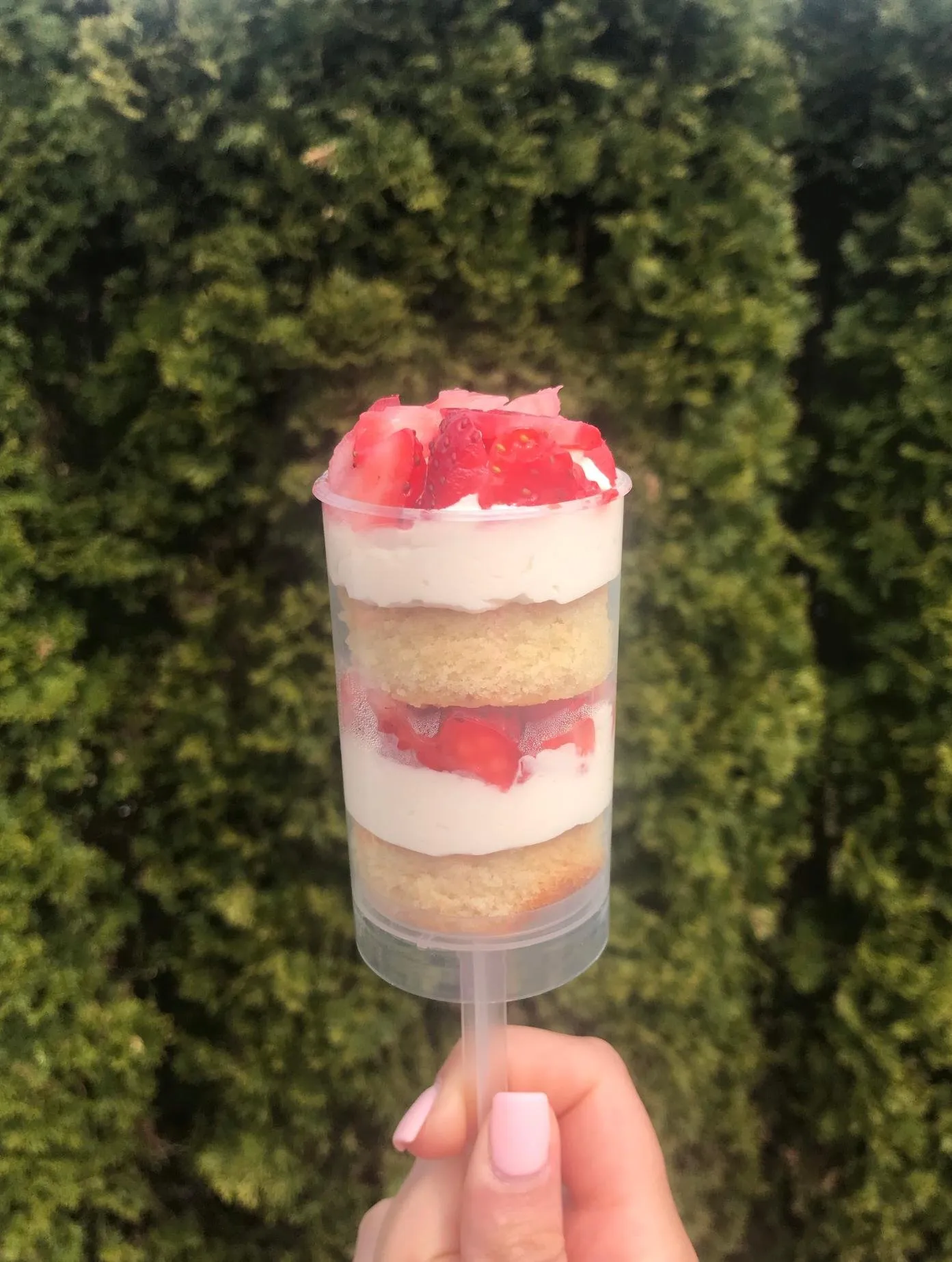 Cake push pops by Cakes by Iz, photo 2