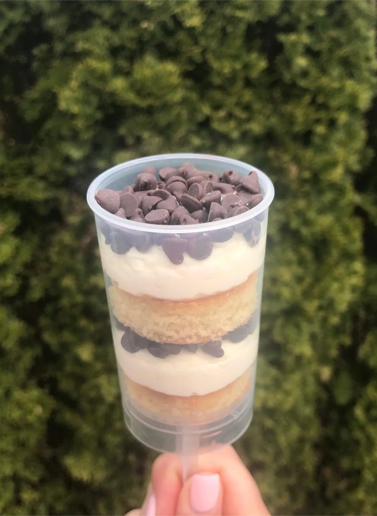 Cake push pops by Cakes by Iz, photo 4